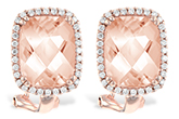 B224-54130: EARR 4.60 MORG 4.85 TGW